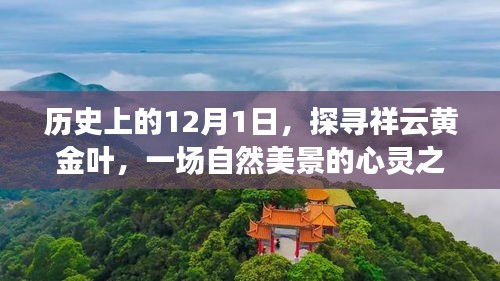 探寻祥云黄金叶，一场自然美景的心灵之旅——历史上的12月1日探寻之旅