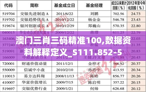 澳门三肖三码精准100,数据资料解释定义_S111.852-5