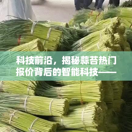 揭秘智能蒜苔报价系统背后的科技力量，蒜苔热门报价的科技前沿探索