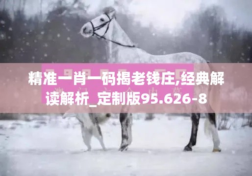 精准一肖一码揭老钱庄,经典解读解析_定制版95.626-8