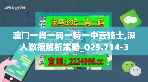 澳门一肖一码一特一中云骑士,深入数据解析策略_Q25.714-3