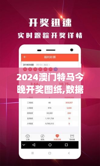 2024澳门特马今晚开奖图纸,数据导向实施步骤_动态版15.881-4