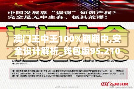 澳门王中王100%期期中,安全设计解析_钱包版95.210-6