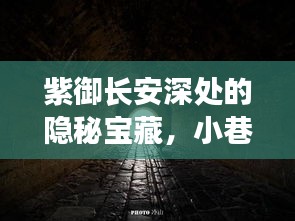 紫御长安隐秘宝藏探秘，小巷风味独特之旅