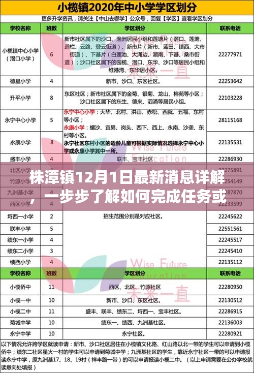 株潭镇12月1日最新消息详解，任务完成与技能学习指南