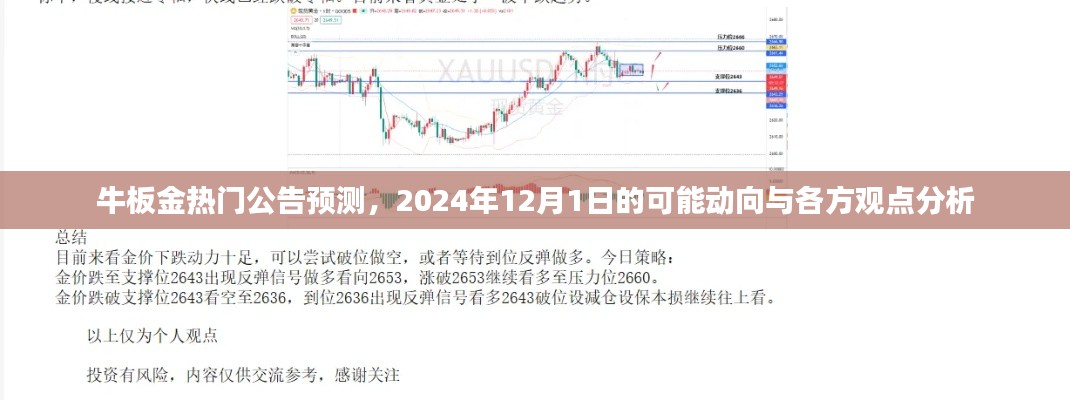 牛板金未来动向解析，2024年12月1日公告预测与各方观点分析