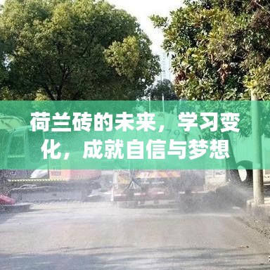 荷兰砖的未来趋势，学习变化，成就自信与梦想——2024年荷兰砖的透水砖之路展望