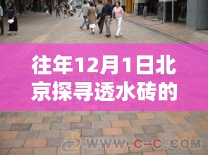 古都绿意下的透水砖探寻之旅，北京12月1日深度体验