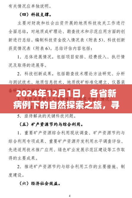 2024年探索之旅，新病例下的内心宁静寻找之旅