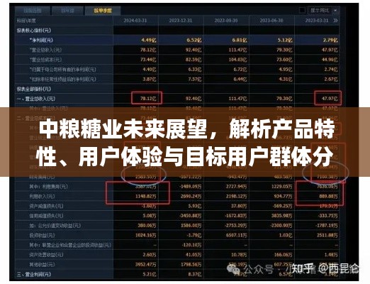 中粮糖业展望至2024年，产品特性、用户体验与目标用户群体深度解析与发展趋势预测