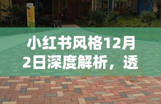 小红书风格深度解析，揭秘透水砖与马路砖的奥秘（12月2日）