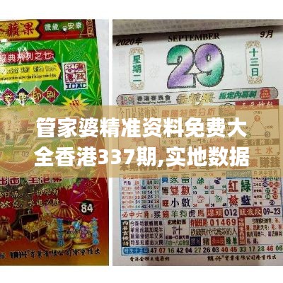 管家婆精准资料免费大全香港337期,实地数据验证执行_钻石版124.276-2