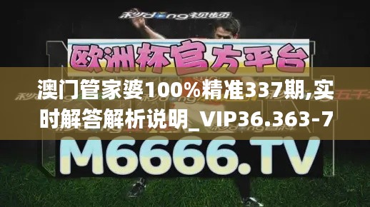 澳门管家婆100%精准337期,实时解答解析说明_VIP36.363-7