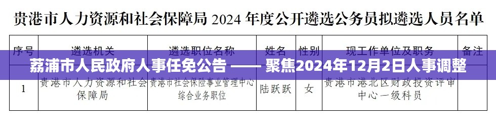 荔浦市人民政府人事任免公告，聚焦人事调整，最新动态（附日期）