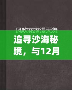 沙海秘境之旅，与12月风积沙透水砖的奇妙邂逅