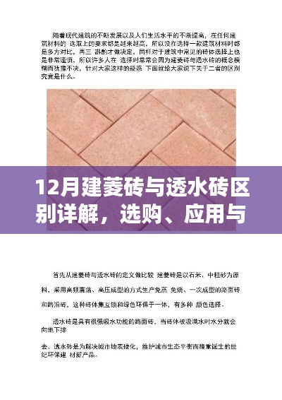 12月建菱砖与透水砖全方位对比，选购、应用及鉴别要点详解