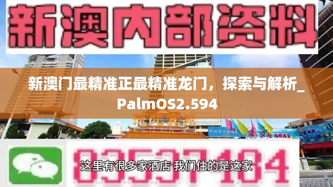 新澳门最精准正最精准龙门，探索与解析_PalmOS2.594