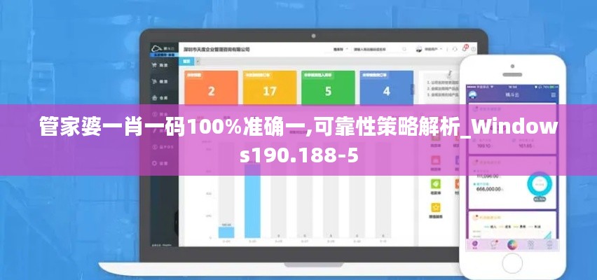 管家婆一肖一码100%准确一,可靠性策略解析_Windows190.188-5