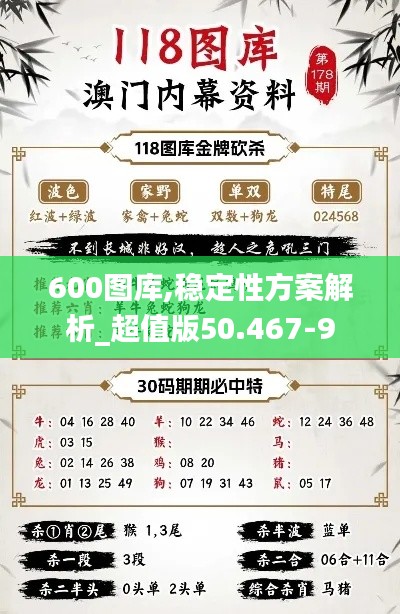 600图库,稳定性方案解析_超值版50.467-9