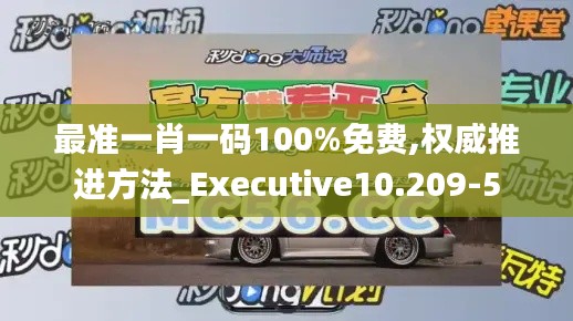 最准一肖一码100%免费,权威推进方法_Executive10.209-5