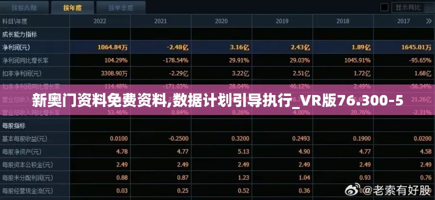 新奥门资料免费资料,数据计划引导执行_VR版76.300-5