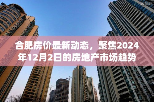 合肥房价最新动态及市场趋势分析，聚焦至2024年12月的影响与展望