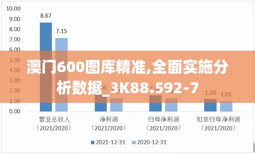 澳门600图库精准,全面实施分析数据_3K88.592-7