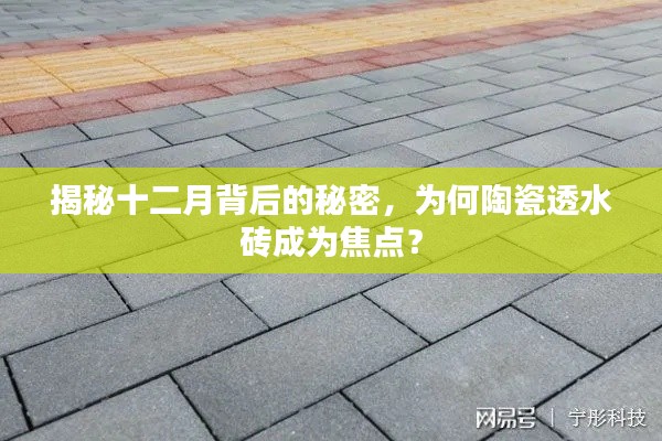 揭秘十二月背后的秘密，陶瓷透水砖为何成为行业焦点？