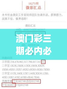 澳门彩三期必内必中一期,问题总结执行方案_suite39.993-8