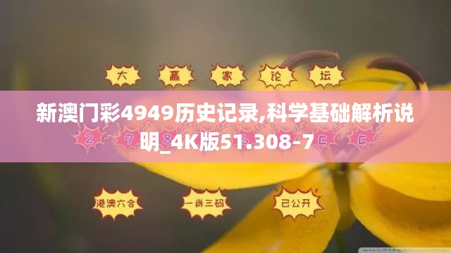 新澳门彩4949历史记录,科学基础解析说明_4K版51.308-7