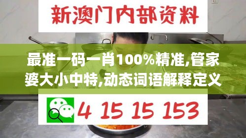 最准一码一肖100%精准,管家婆大小中特,动态词语解释定义_1440p53.304-6