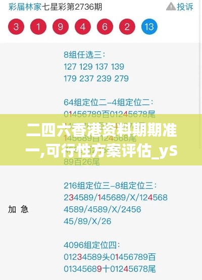 二四六香港资料期期准一,可行性方案评估_yShop11.450-3