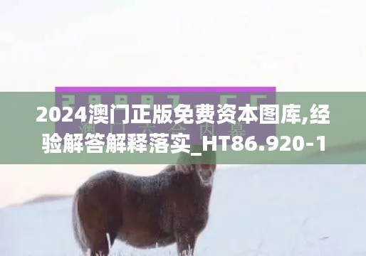 2024澳门正版免费资本图库,经验解答解释落实_HT86.920-1