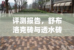 舒布洛克砖与透水砖深度解析及评测报告