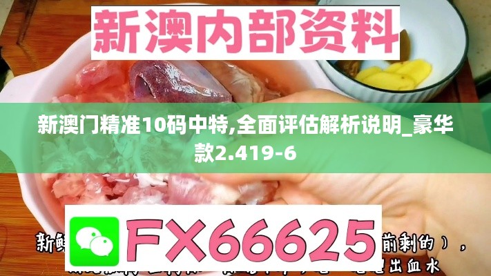 新澳门精准10码中特,全面评估解析说明_豪华款2.419-6