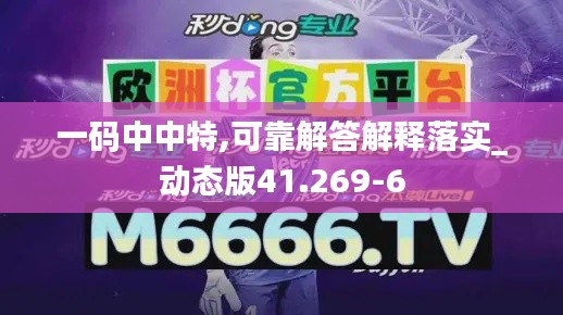 一码中中特,可靠解答解释落实_动态版41.269-6