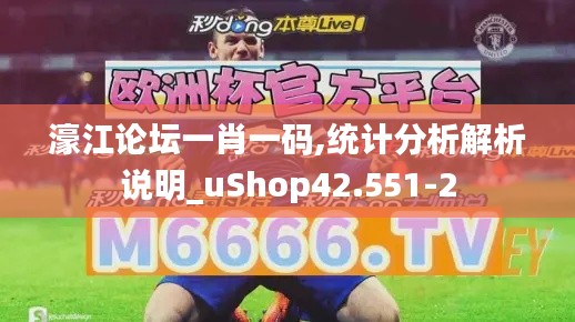 濠江论坛一肖一码,统计分析解析说明_uShop42.551-2