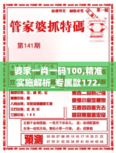 婆家一肖一码100,精准实施解析_专属款172.862-5