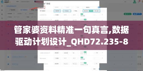 管家婆资料精准一句真言,数据驱动计划设计_QHD72.235-8