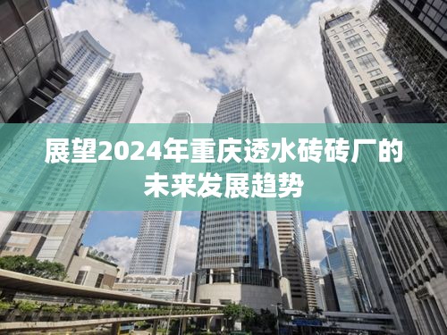 2024年重庆透水砖砖厂未来发展趋势展望