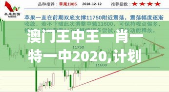 澳门王中王一肖一特一中2020,计划反馈执行_KP98.825-1