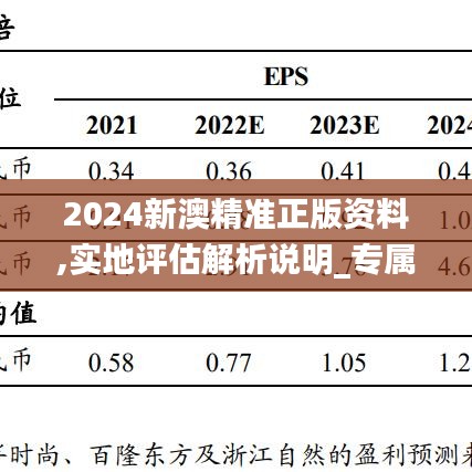 2024新澳精准正版资料,实地评估解析说明_专属版96.538-2