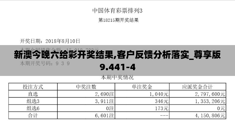 新澳今晚六给彩开奖结果,客户反馈分析落实_尊享版9.441-4