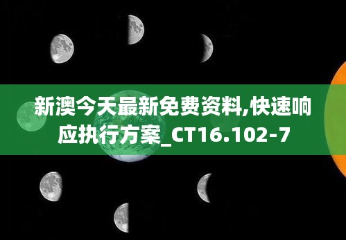 新澳今天最新免费资料,快速响应执行方案_CT16.102-7