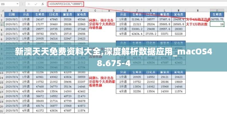 新澳天天免费资料大全,深度解析数据应用_macOS48.675-4