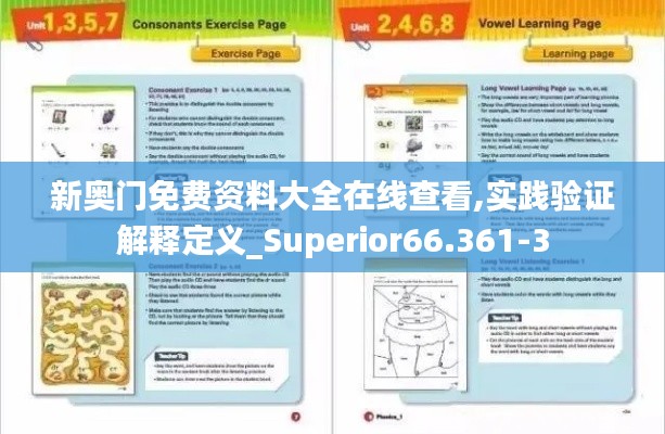 新奥门免费资料大全在线查看,实践验证解释定义_Superior66.361-3