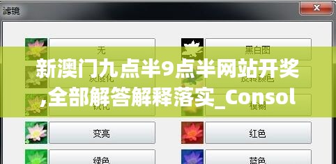 新澳门九点半9点半网站开奖,全部解答解释落实_Console66.973-6