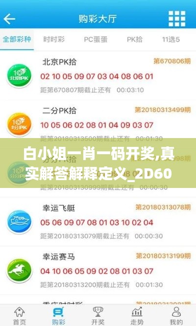 白小姐一肖一码开奖,真实解答解释定义_2D60.169-5