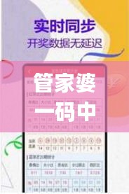 管家婆一码中一肖2024,综合分析解释定义_创新版87.161-5