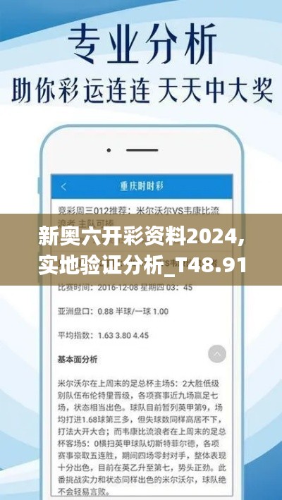 新奥六开彩资料2024,实地验证分析_T48.918-9